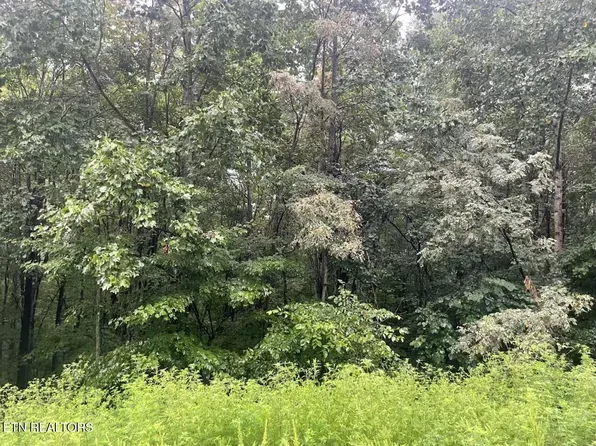 Whistle Valley Rd, New Tazewell, TN 37825