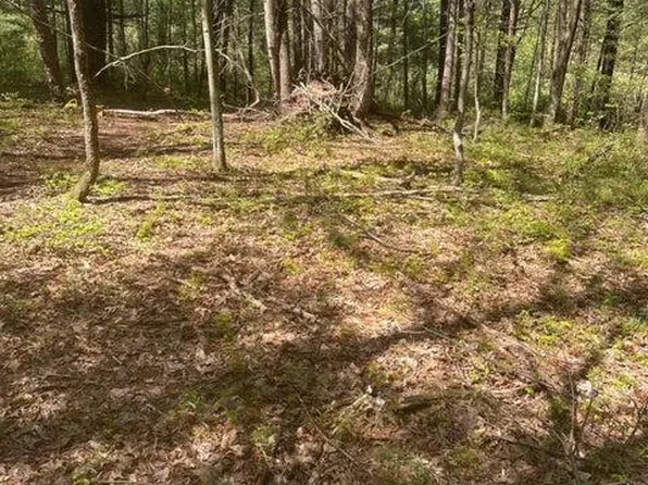 PARCEL-110A 4th Gap Rd, Allenwood, PA 17810