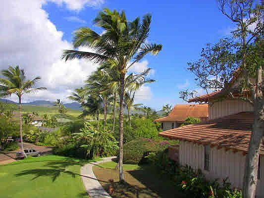 View from Lanai