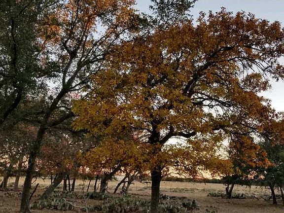 3rd image of 4346 W State Highway 29