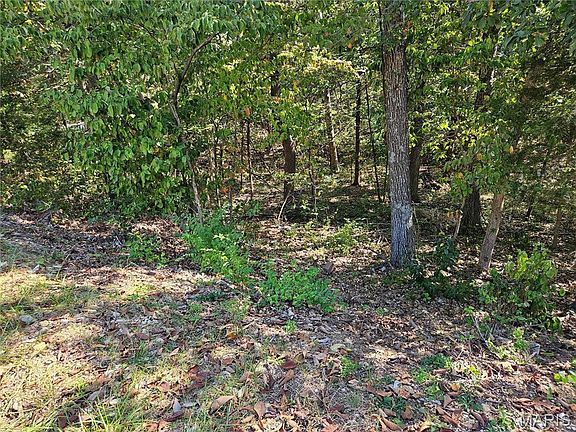 4th image of 9528 Duffer Dr