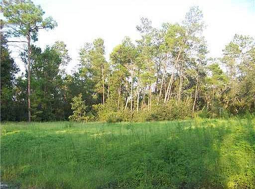 2nd image of 676 Lake Dr