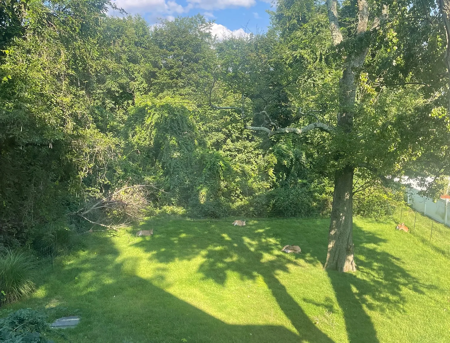3 bed, 1580 sqft, $3,895 — Photo 4
