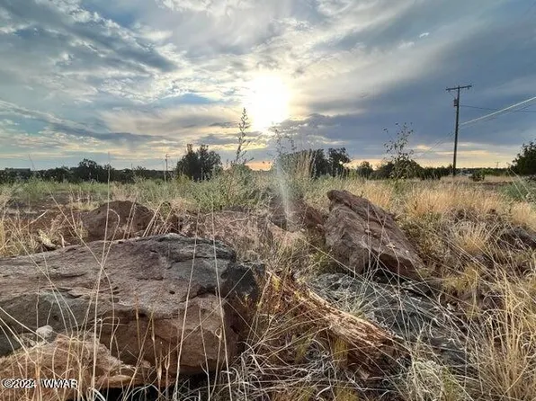 8395 Rainbow Dr, Show Low, AZ 85901