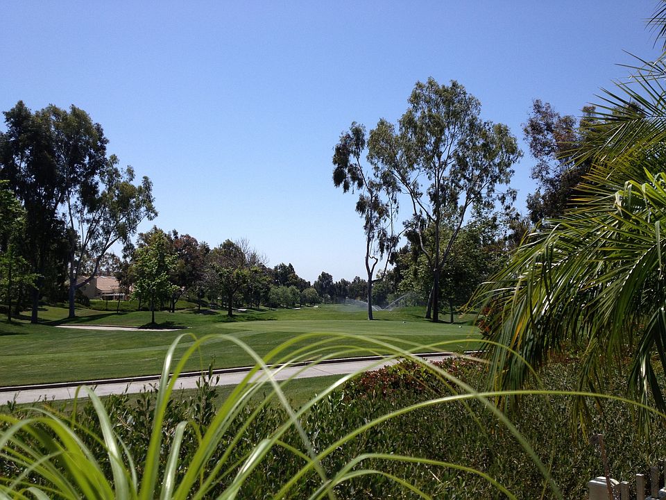 Back Yard view