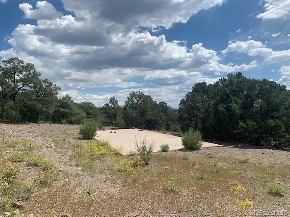 188 Looters Lane, Westcliffe, CO 81252