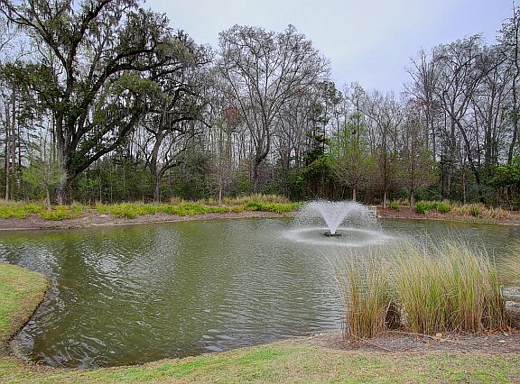 4th image of 8863 Kellum Dr