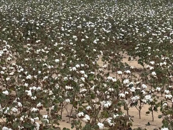 S Parsley Rd, Canyon, TX 79015