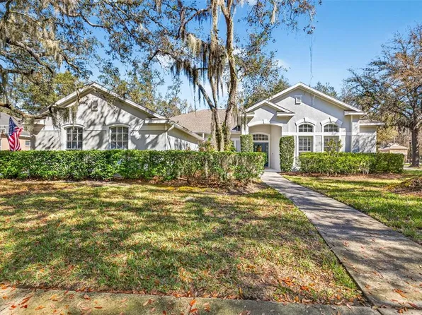 15036 Eaglerise Dr, Lithia, FL 33547