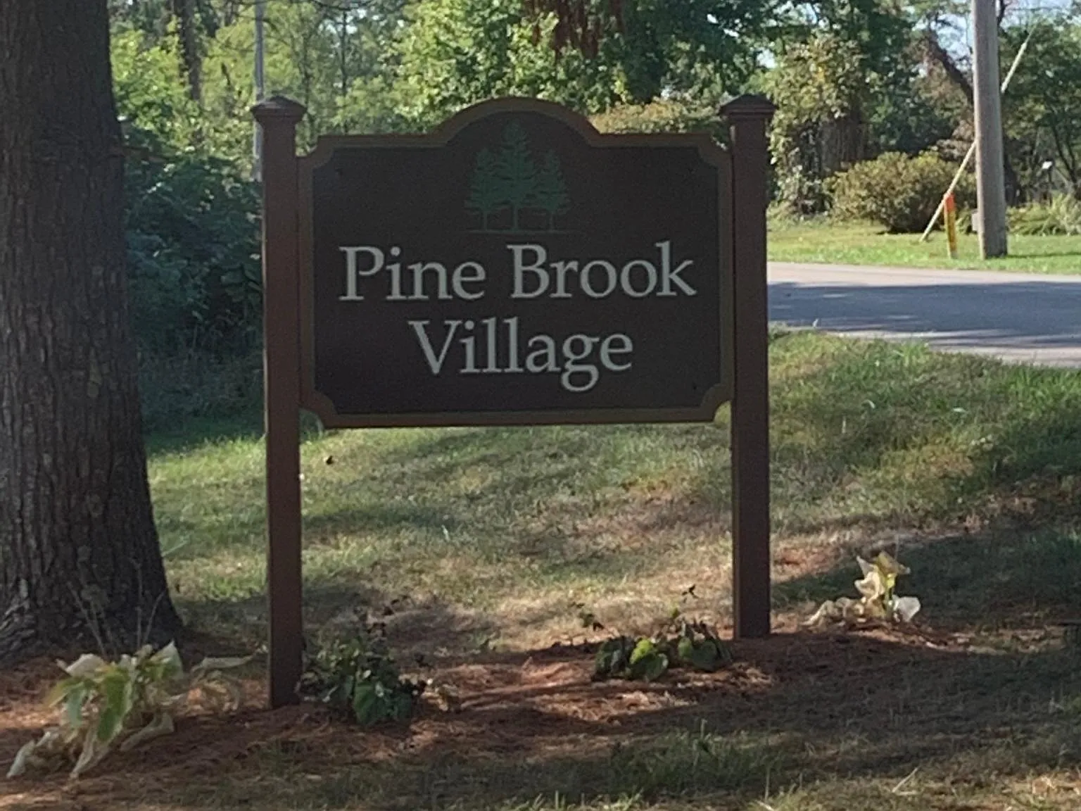 2 bed, 900 sqft, $1,095 — Photo 4