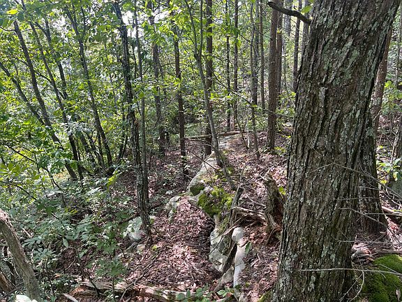 4th image of 1 Raven Rock Rd