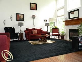 4th image of 3669 Black Eagle Dr