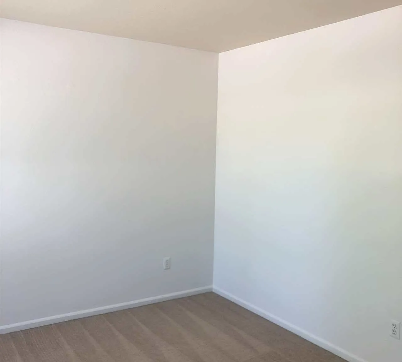 4533 Starflower Drive Unit C - 1 — Photo 2