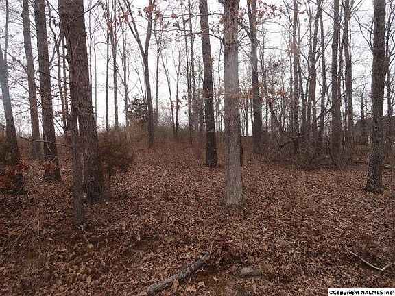 4th image of 178 Shockley Dr