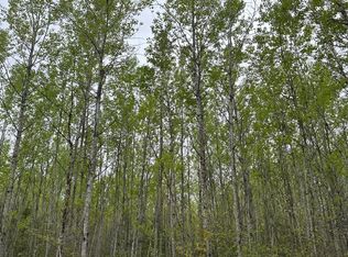 Burrows Lake Rd LOT 3, Tomahawk, WI 54487