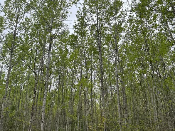 Burrows Lake Rd Lot 3, Tomahawk, WI 54487