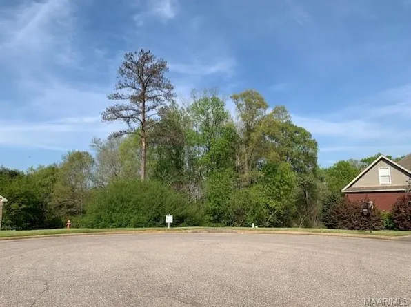 2032 Vonica Rose St, Deatsville, AL 36022