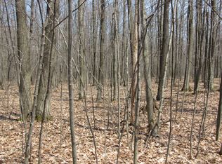 W Birch Rd, Roscommon, MI 48653