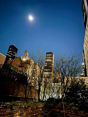 Rented by Douglas Elliman | media 23