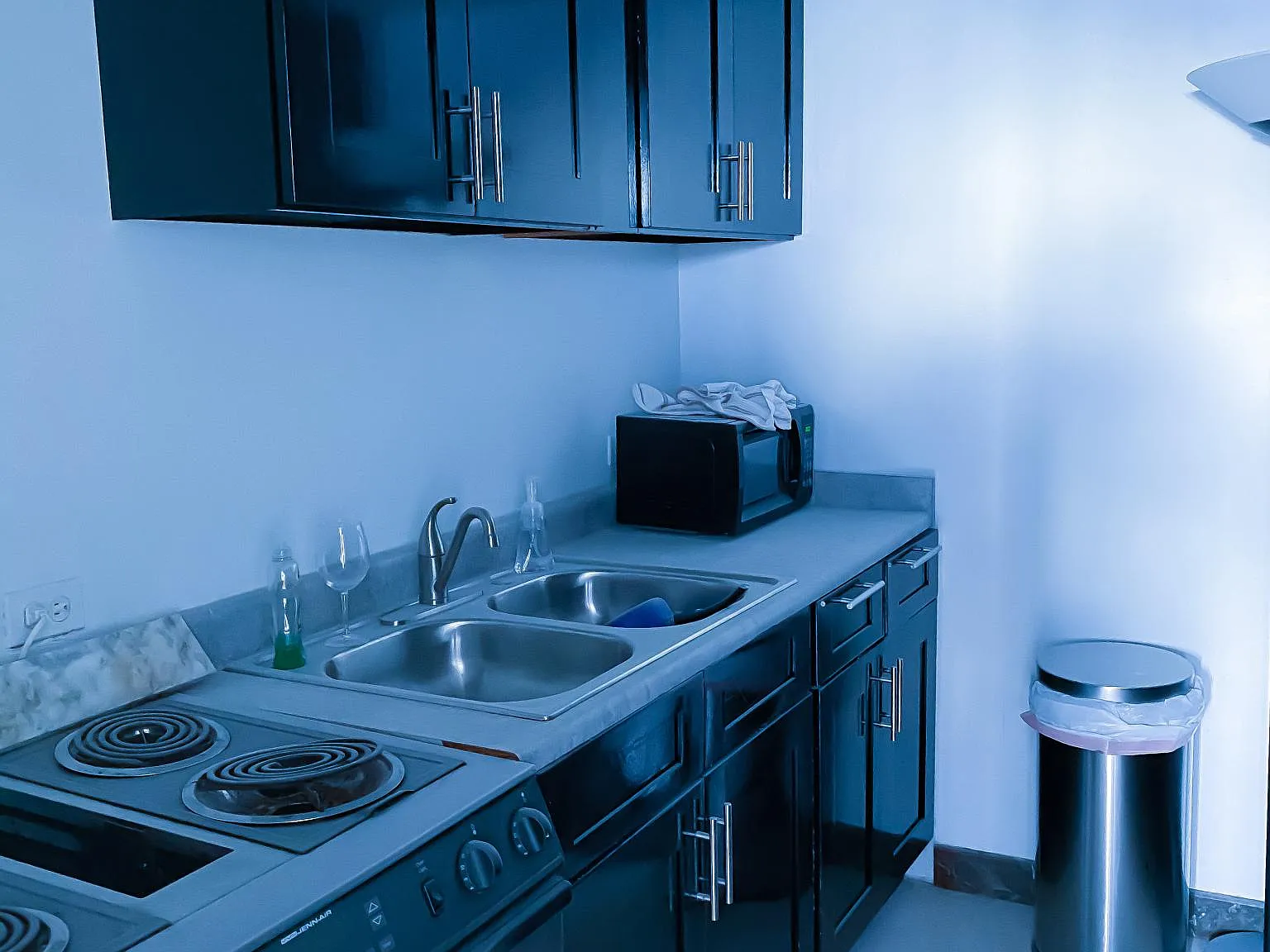 2 bed, 1820 sqft, $3,950 — Photo 4