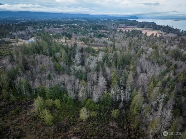 9999 Bobcat Hollow Road, Port Angeles, WA 98362