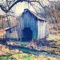 outside shed