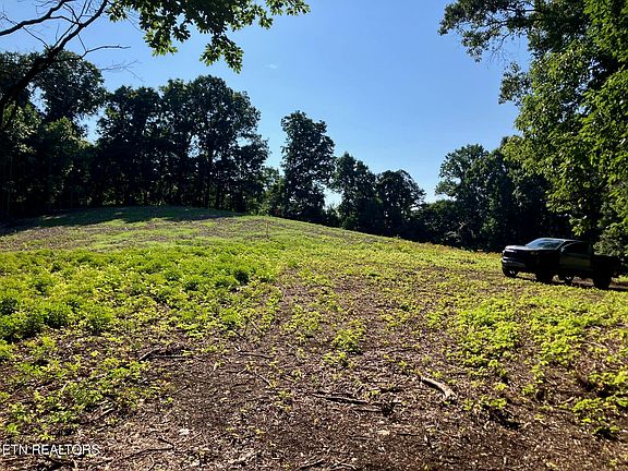 4th image of TRACT 2 Graves Hollow Rd