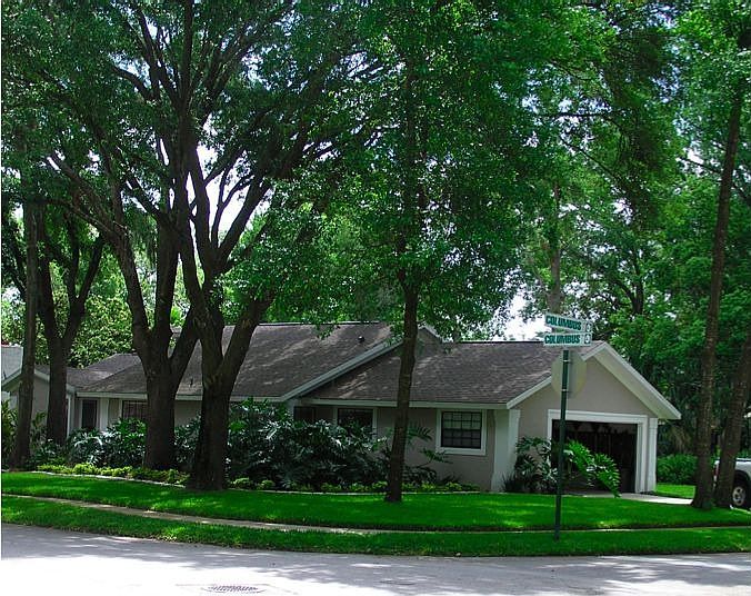 House View