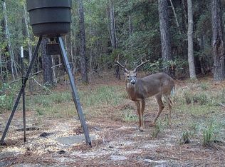 00 Short Creek, Coldspring, TX 77331