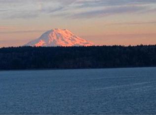 61 E Grape Dr, Grapeview, WA 98546