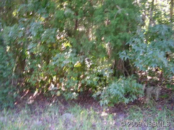 2259 Davis Dr, New Smyrna Beach, FL 32168