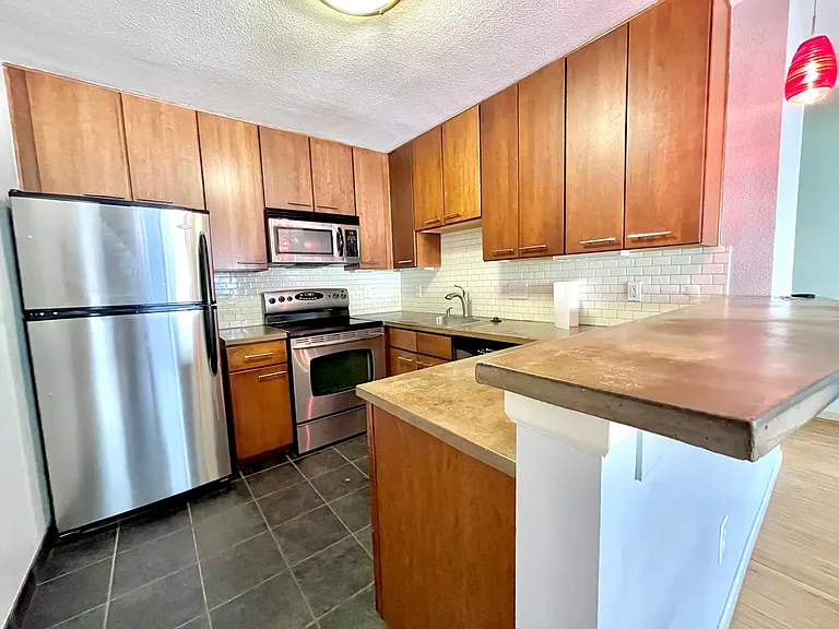 1231 N Downing St #203 — Photo 4
