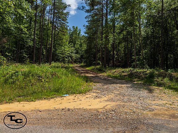 4th image of 0 Wolf Pen Rd Tract 2