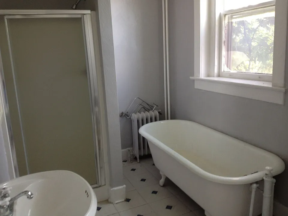 Bath Apt 2 shower - tub