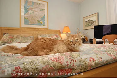 Sold by Brooklyn Properties