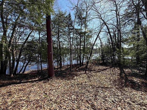 3rd image of S Forest Haven Rd