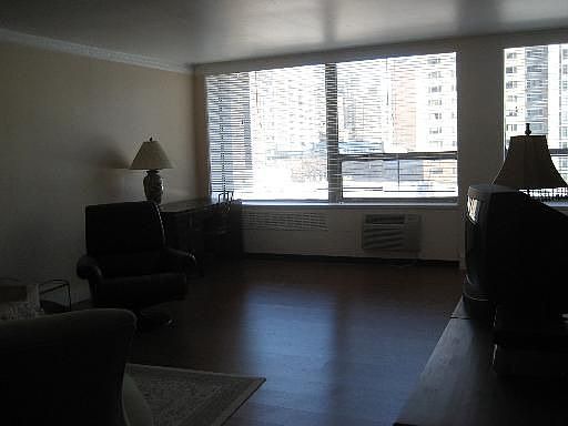 2nd image of 1355 N Sandburg Ter APT 704D