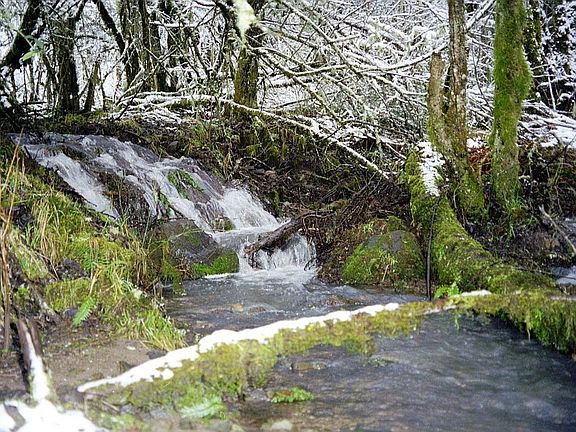 8-month seasonal creek
