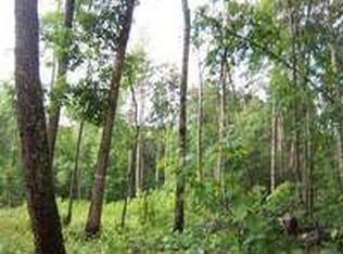 48 Twin Creeks, Blue ridge, GA 30513