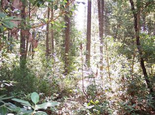 5082 Tunnel Hill Loop, Georgetown, CA 95634