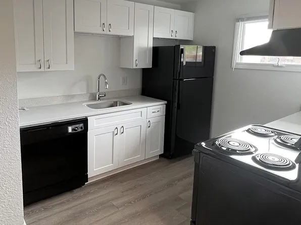 921 Mount Massive Dr Unit 10, Leadville, CO 80461