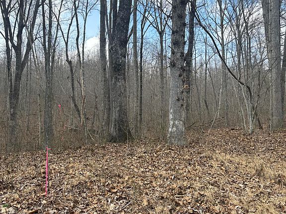 2nd image of 161 Quail Ln