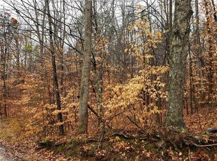 0 Millstone Rd, Apple Grove, WV 25502