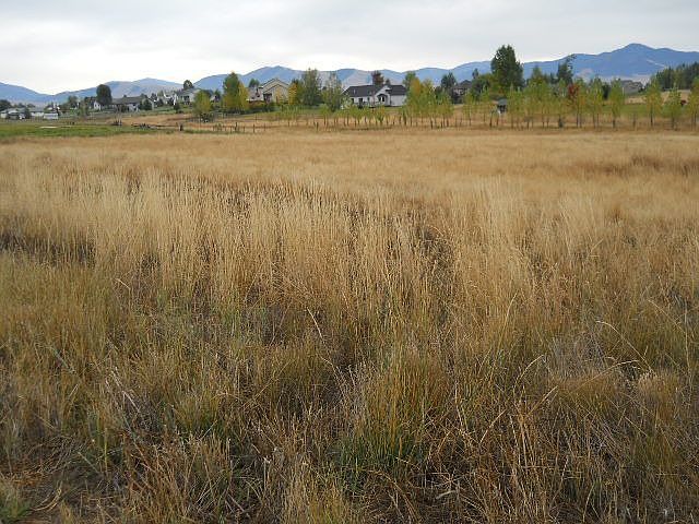 2nd image of 8619 Wentland Ct