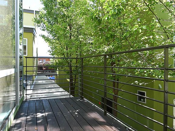 Lower deck surrounded by beautiful trees