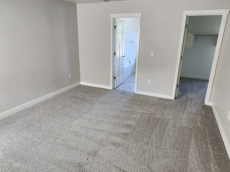 Master bedroom with walk-in closet