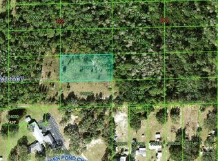 Not In A Subdivision, Polk City, FL 33868
