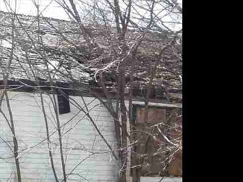 11781 Washburn
