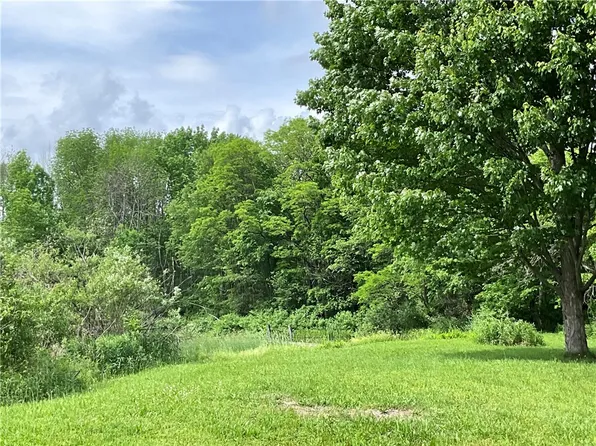 265 Jones Peck Rd, North Norwich, NY 13814