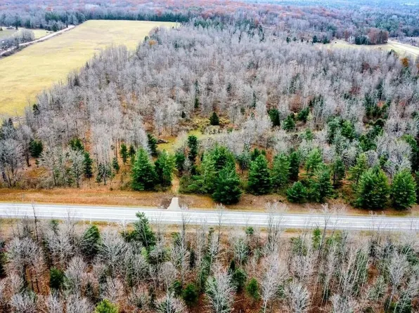 N State Highway 65, Curran, MI 48728